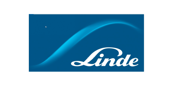 Linde Saúde, LDA