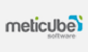 Meticube