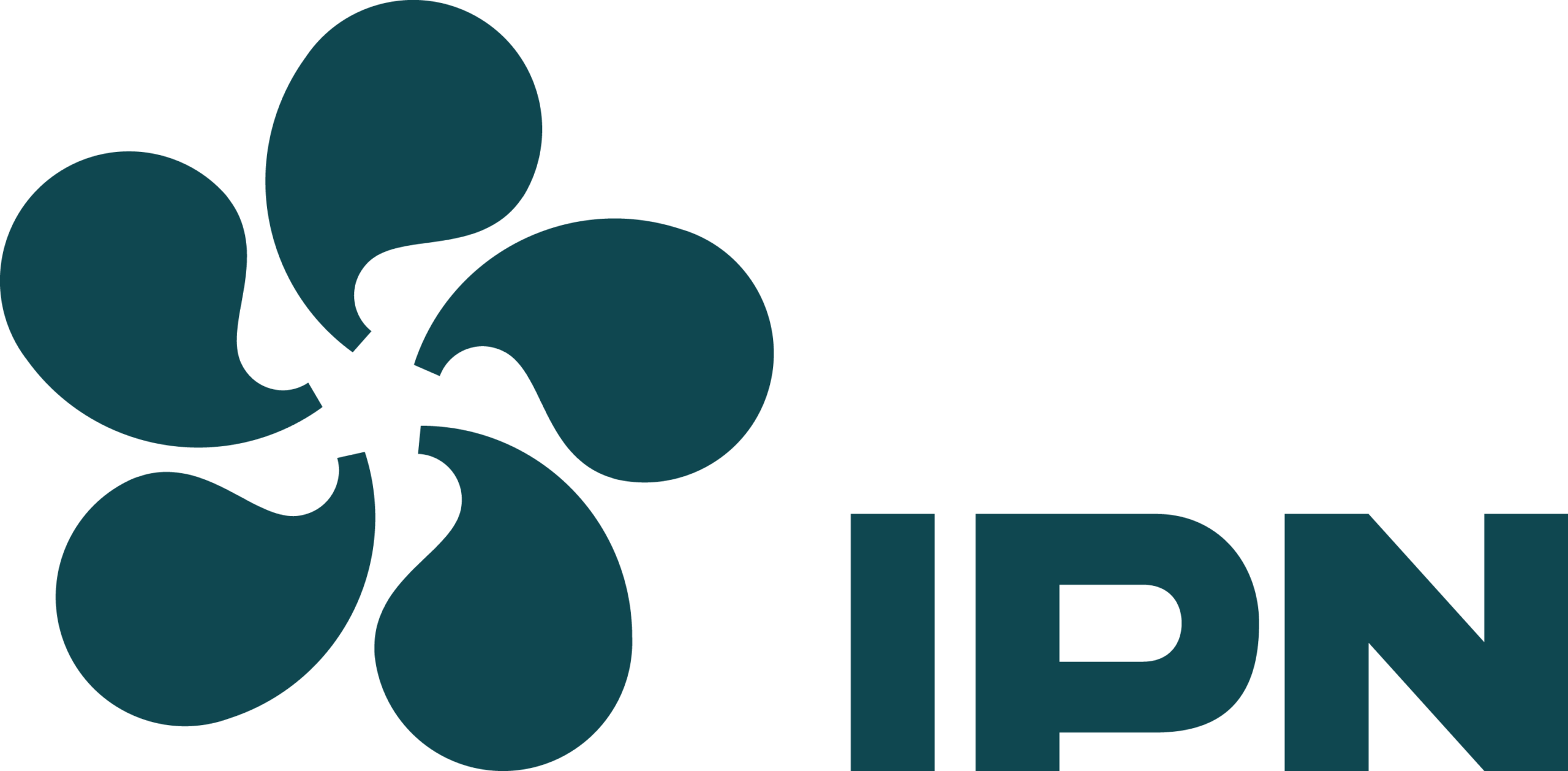 Instituto Pedro Nunes (IPN)